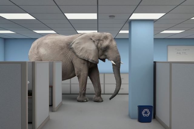 Image of an elephant in a room